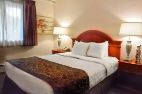 Centerstone Plaza Hotel Soldiers Field - Mayo Clinic Area - Chambre