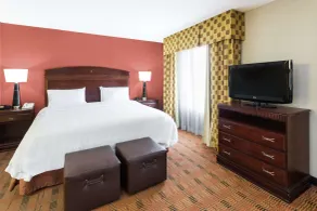 Hampton Inn Moss Point Pascagoula - Chambre