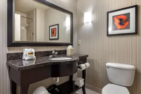 Best Western Plus DFW Airport West Euless - Salle de bain