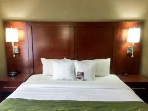 Comfort Suites Regency Park - Chambre