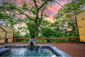Hakone Kowakien Mikawaya Ryokan - Piscina