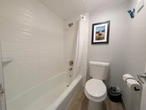 Comfort Inn & Suites Denver West - Golden - Bad
