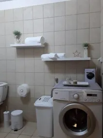 Estudio apto para niños con terraza y jardín - Baño
