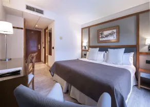 Vielha Val d'Arán, Affiliated by Meliá Hotel - Chambre