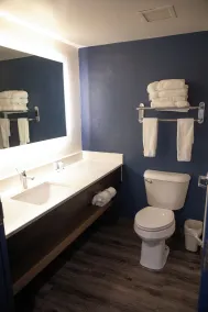 Spark by Hilton Mechanicsburg - Salle de bain