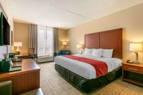 Comfort Inn & Suites Nashville Franklin Cool Springs - Chambre