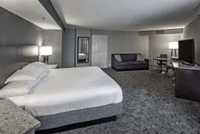 DoubleTree by Hilton Hotel Modesto - Chambre