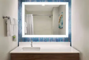 La Quinta Inn & Suites by Wyndham Austin South - Badrum
