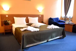 Sveta Sofia Hotel - Room