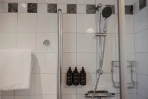 Home Hotel Temperance - Bathroom