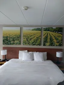 Days Inn by Wyndham Vineland - Chambre