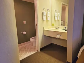 Sleep Inn & Suites Bay View Acme - Traverse City - Salle de bain