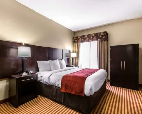Comfort Suites Waycross - Rum