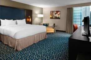 DoubleTree by Hilton Hotel Arlington DFW South - Chambre