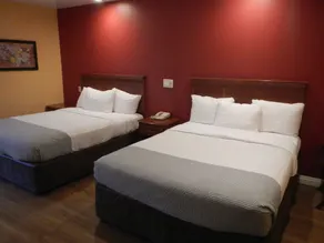 Rodeway Inn Carson - Los Angeles South - Chambre