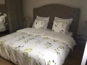 Bienvenue à La Sône - Camera
