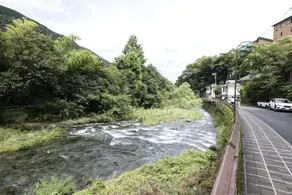 Hakoneji Kaiun - Vue de la chambre