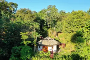 Paradise Lodge - View from room