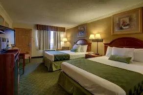 Ramada by Wyndham Macon - Chambre