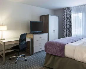 Comfort Inn Williamsburg Gateway - Zimmer