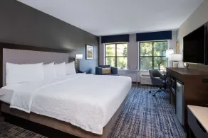 Hampton Inn & Suites Agoura Hills - Chambre