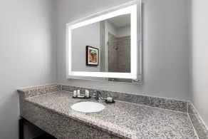 La Quinta by Wyndham Brookshire West Katy - Badezimmer
