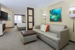 Hyatt Place Dallas/Grapevine - Chambre
