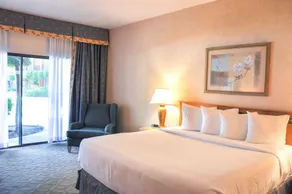 Piccadilly Inn Airport - Room