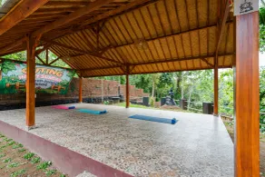Byron Jungle Resort - Yoga