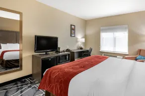 Comfort Inn & Suites Lubbock - Chambre