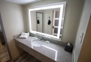 Holiday Inn Scranton East - Dunmore by IHG - Salle de bain