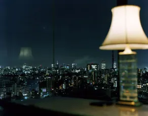 Hotel Chinzanso Tokyo - Vue de la chambre