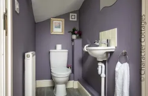 Birch House - Baño