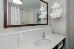 Hampton Inn & Suites Tampa Airport Avion Park Westshore - Salle de bain
