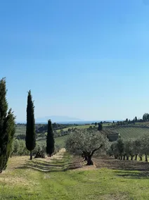 Fattoria Podere i Luoghi - Udsigt fra værelset
