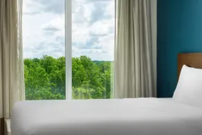 Hyatt Place Grand Rapids South - Vue de la chambre