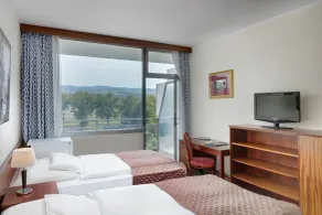 Ensana Splendid - Room