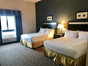 Holiday Inn Express & Suites Morton Peoria Area by IHG - Chambre