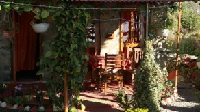 The Mapple Cottage - Terrasse/Patio