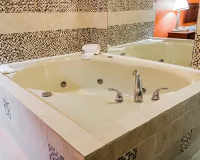 Rodeway Inn Auburn Hills - Detroit - Chambre
