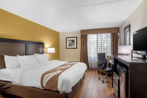 Quality Inn & Suites Ruther Glen - Room