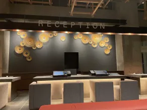 AMANEK Beppu YULA-RE - Réception