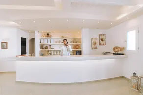 Naxian Emerald Hotel - Réception