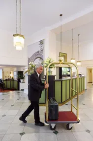 Hotel Johann Strauss - Reception