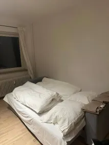 Gentofte Cozy Private Apartment - Room