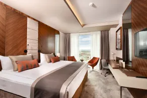 Ankara Alegria Business Hotel - Room