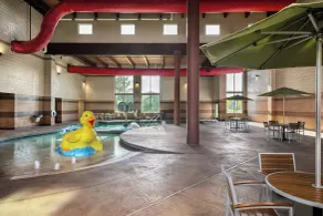 Holiday Inn Stevens Point - Convention Center by IHG - Pool
