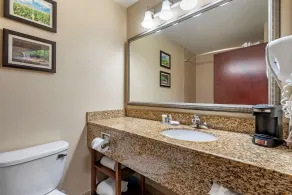 Comfort Inn & Suites Muncie Near University - Salle de bain