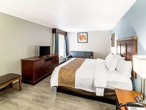 Farragut Inn & Suites - Chambre
