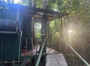 The Green Tree Lodge - Ausblick vom Zimmer
